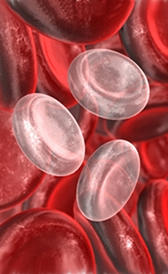 Anemia ferropriva: Anemia per deficienza di ferro